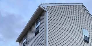 Best Steel Siding Installation  in , DE